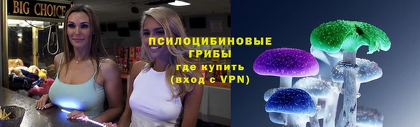 стаф Балахна