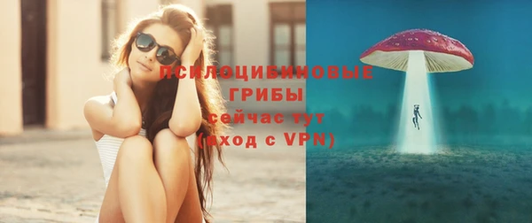 стаф Балахна