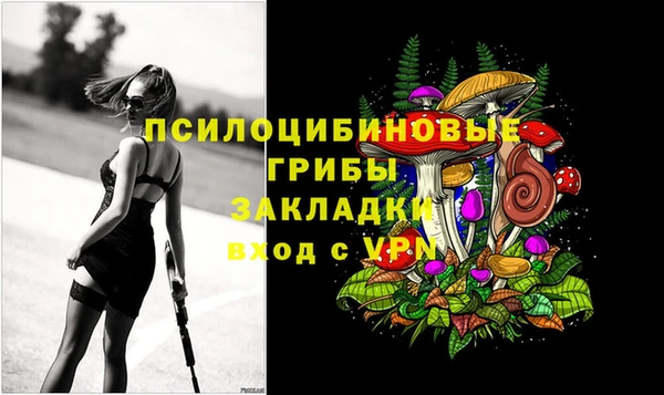стаф Балахна