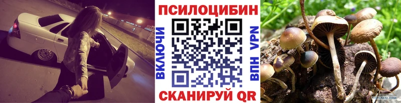 продажа наркотиков  Нязепетровск  KRAKEN tor  Галлюциногенные грибы ЛСД 